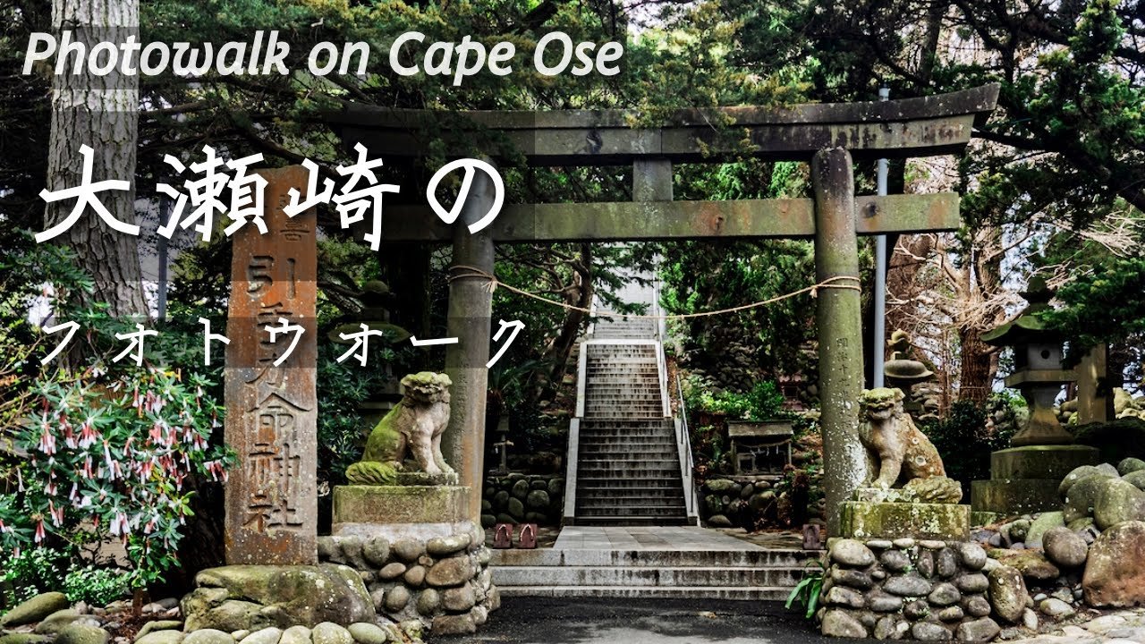 ⛩️ 오세 신사(大瀬神社) 이미지 1